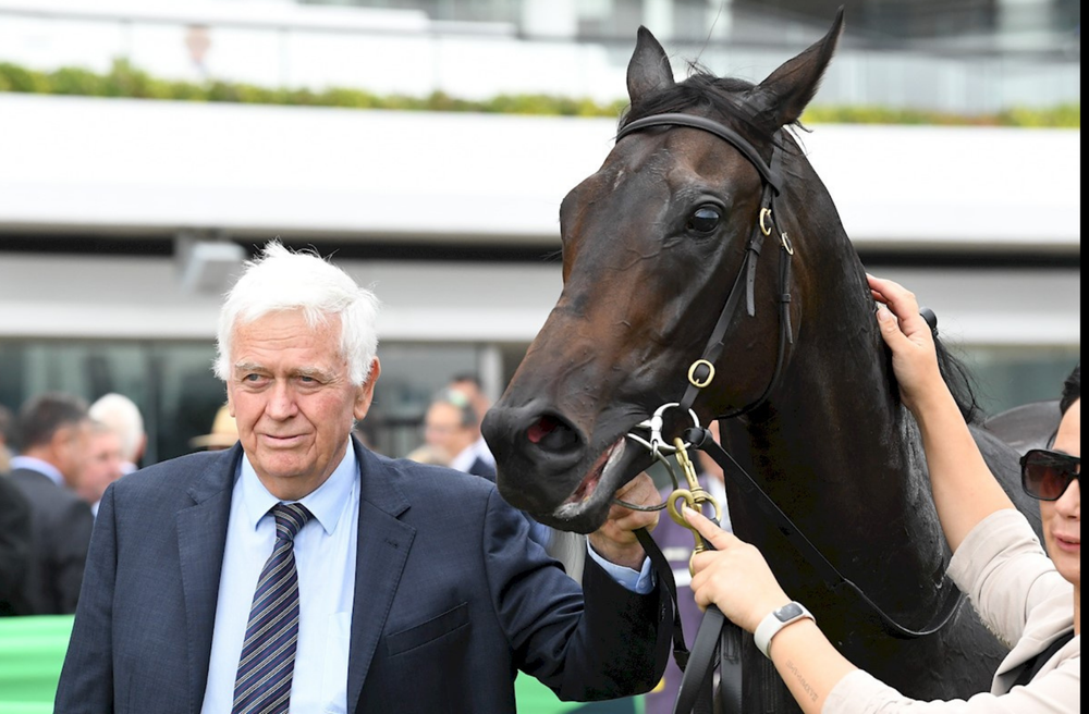 In The Lab: 2026 Sistema Railway Stakes post image