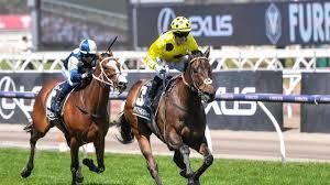 Melbourne Cup 2023 Replay post image