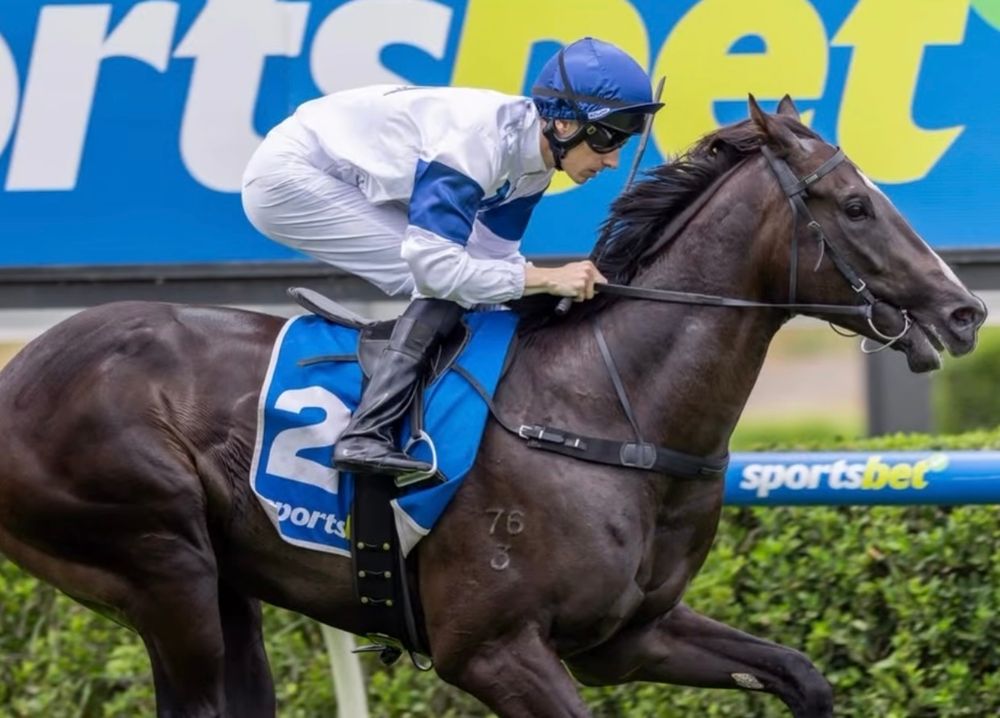 All systems go for Hickmott's impressive colt post image