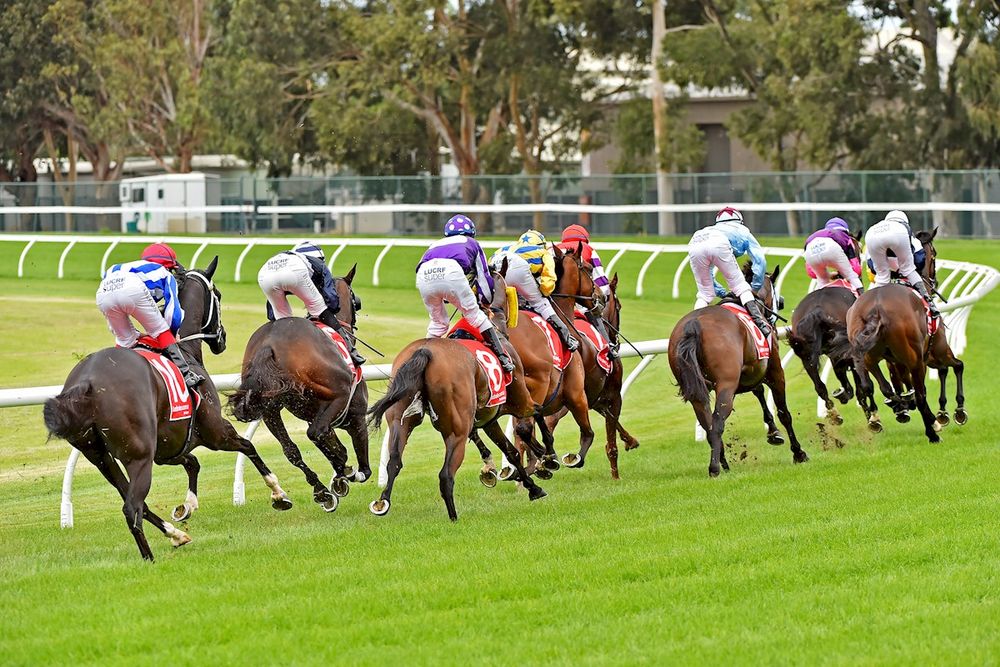 Racing Victoria latest to roll out fuel help as rising costs hit racing post image