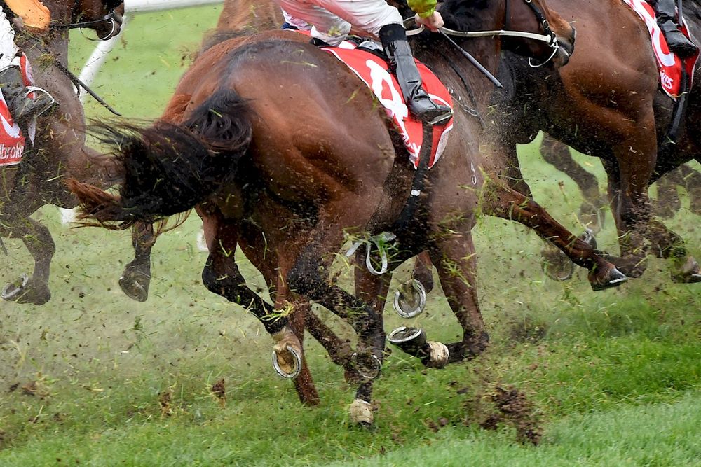 Trainer wins appeal after 'offensive' social media spray post image