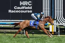 Jimmysstar to run in Everest post image