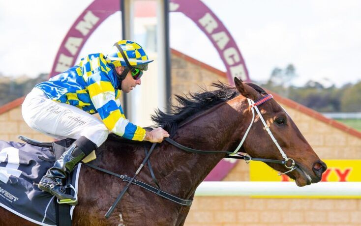 NSW Trial Watch: Dean Watling’s horses to follow – March 18 post image