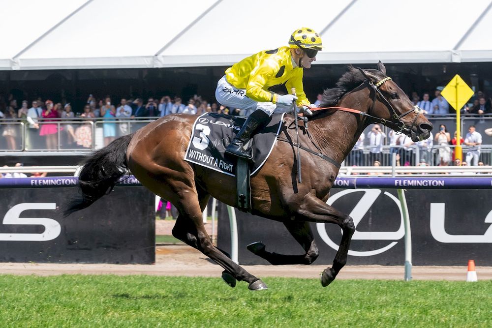 Tributes flow for Cup winning Sheikh post image
