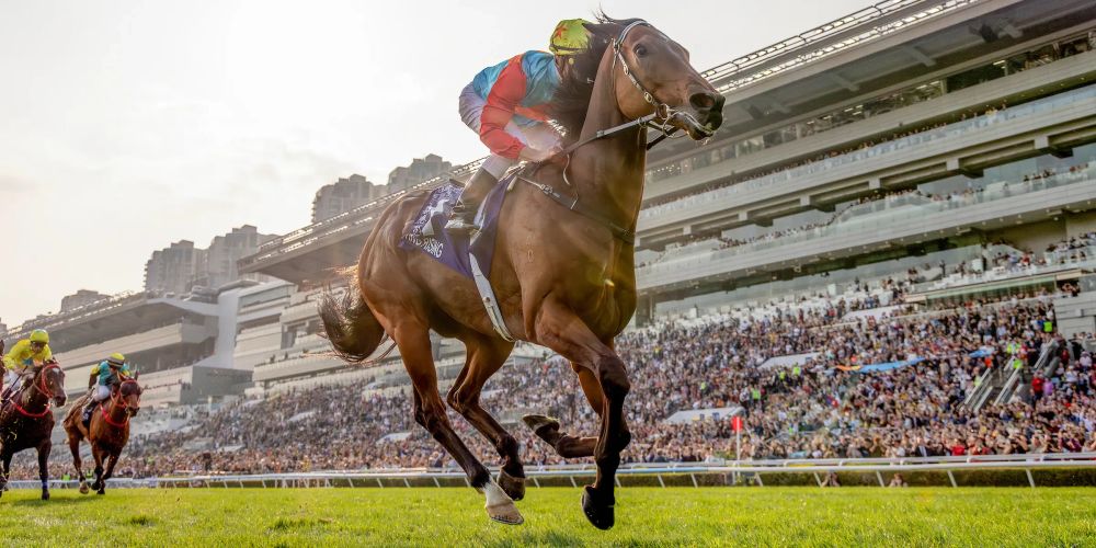 'He’s just getting better': Ka Ying Rising breaks Hong Kong record with 18th straight win post image