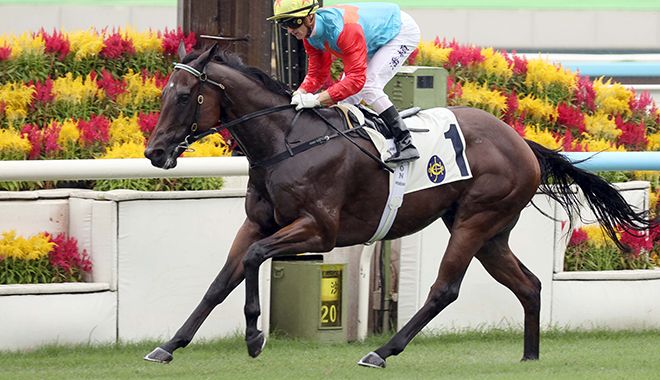 Purton: Ka Ying Rising out to match Black Caviar glory post image
