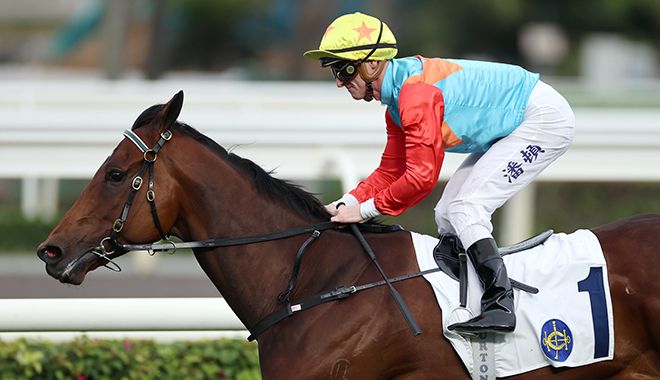 HKJC: Interest in Everest at "fever pitch" post image