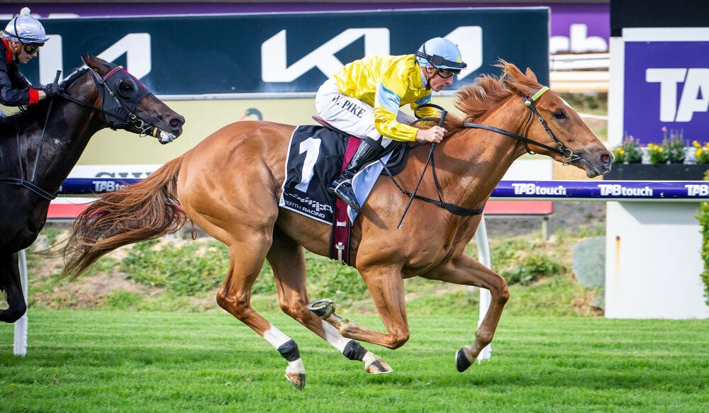 King Of Light chasing elite company post image