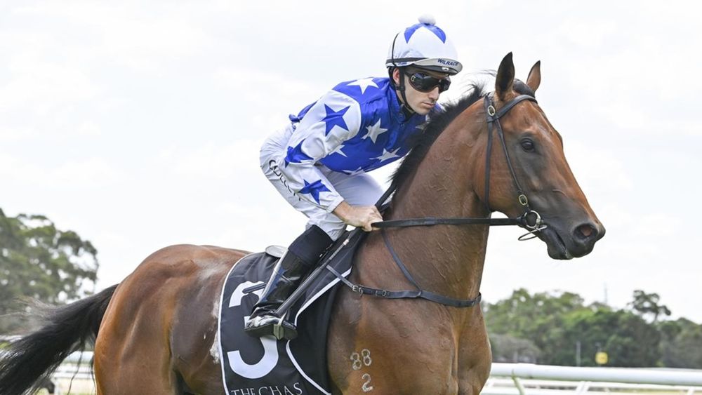 The Trial Files: NSW Weekly Review post image