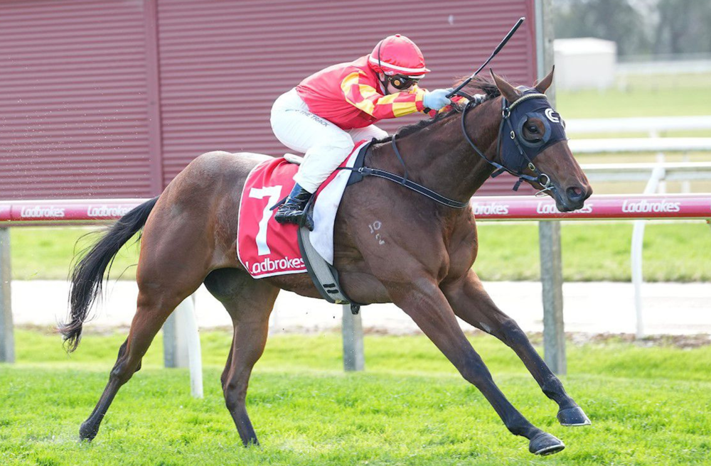 $1.10 Pop Beaten at Moe post image