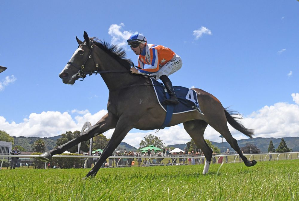 Te Akau’s unbeaten star ready for toughest assignment yet post image