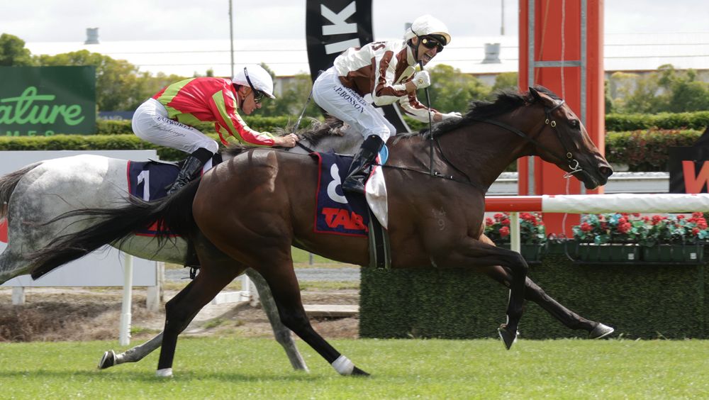 NZ Trial Watcher’s Ellerslie Preview: Best bets and race-by-race analysis post image