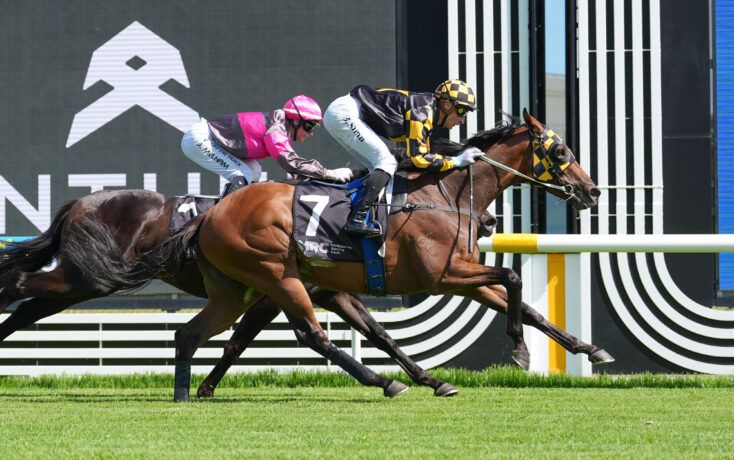 Good Will Hunting: Elford targets Geelong post image