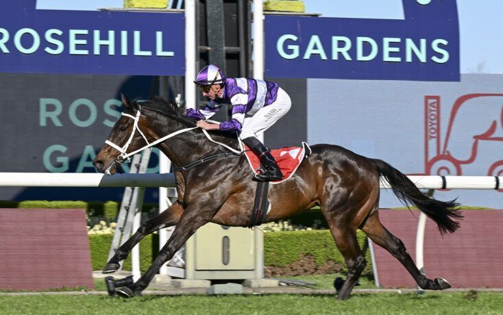 Mad Monday: Hill Stakes Day post image