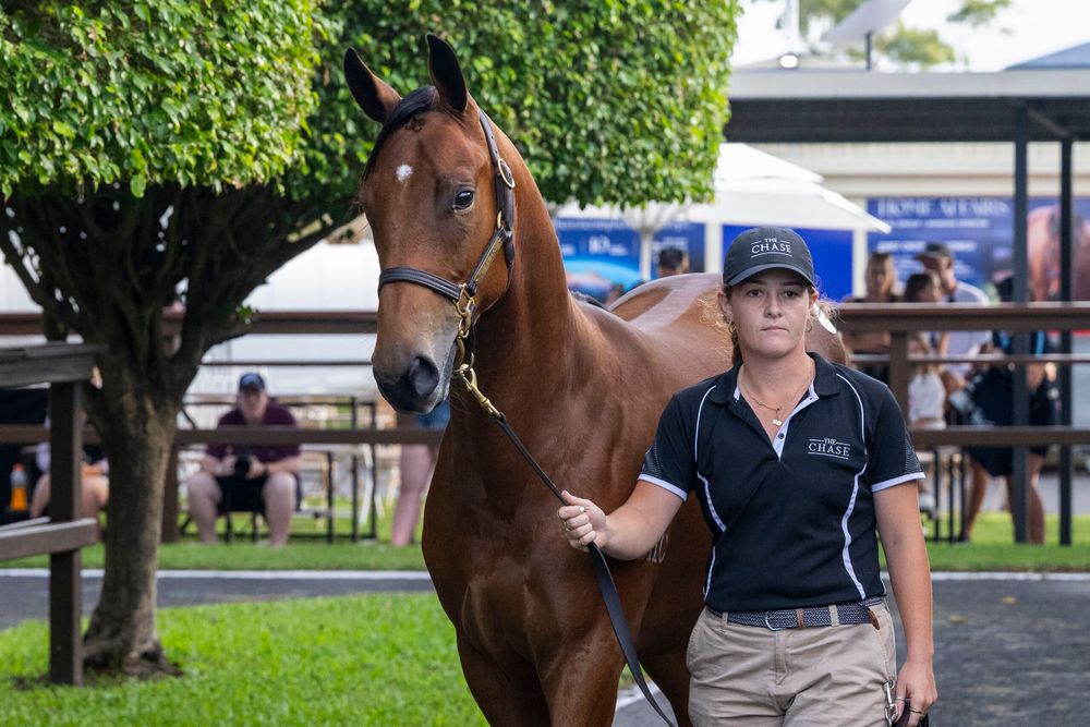 Million dollar babies: Magics starts with a bang post image