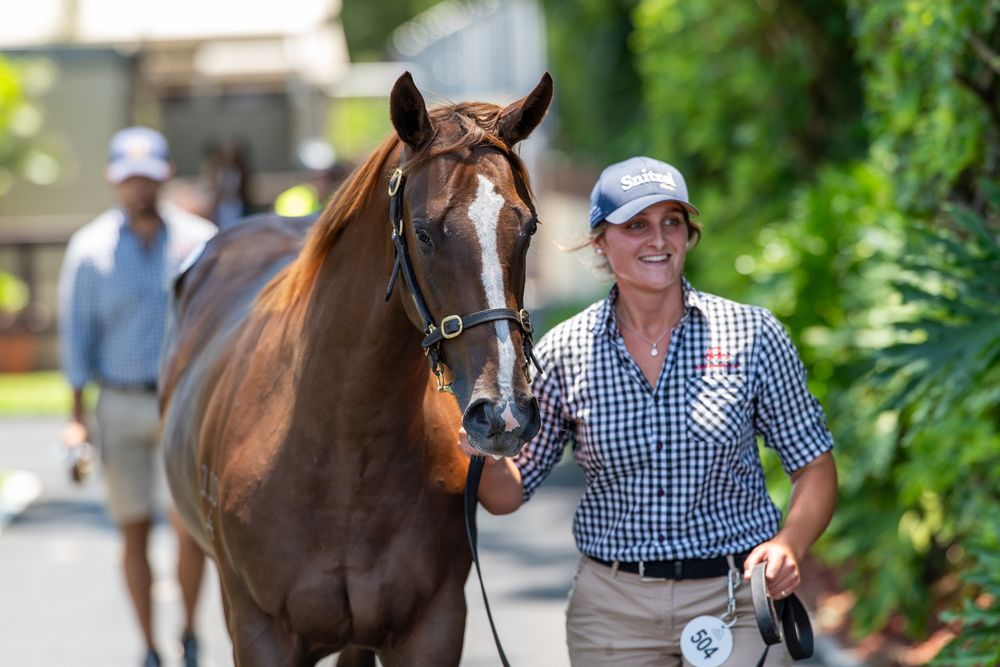 Cox Plate champ doing wonders in sales ring post image