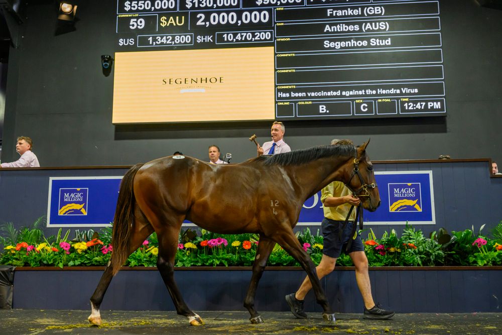 From poor barriers to a $2 million pay day: Camilleri’s Magic Millions rollercoaster post image