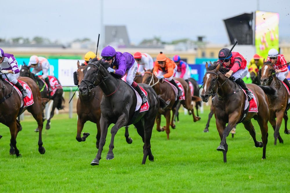 Punters lash out: outrage after staff abused after Millions protest post image