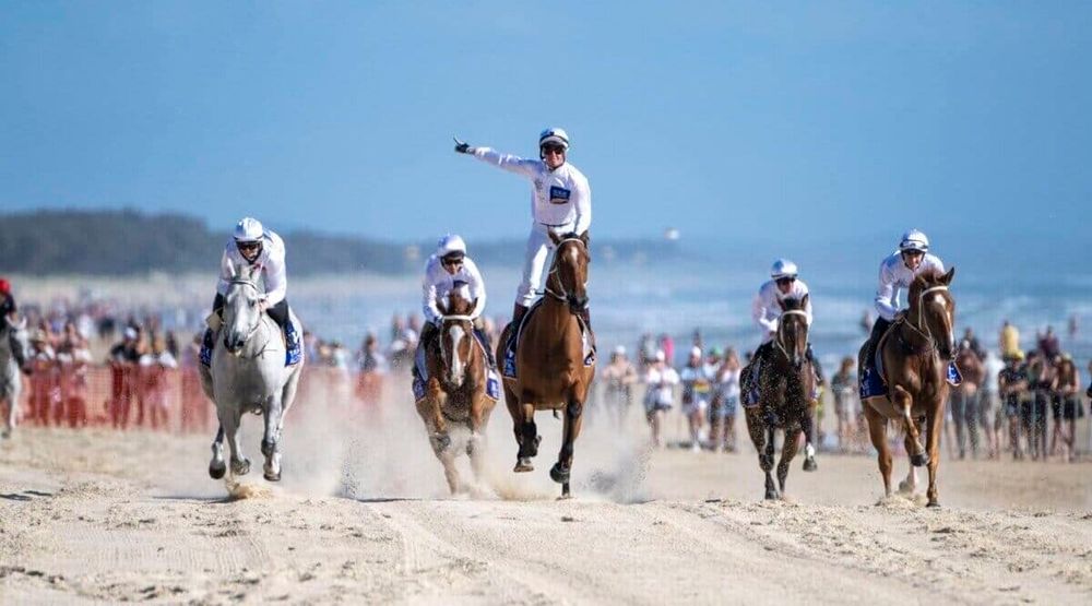 Gibbo's road to the Magic Millions post image