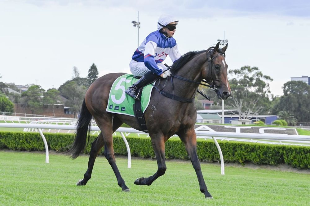 Futures bet: Dean Watling targeting Newcastle post image