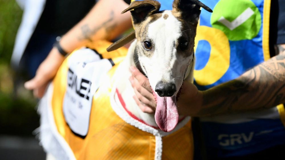 Mepunga Reward Claims Group 1 Temlee post image