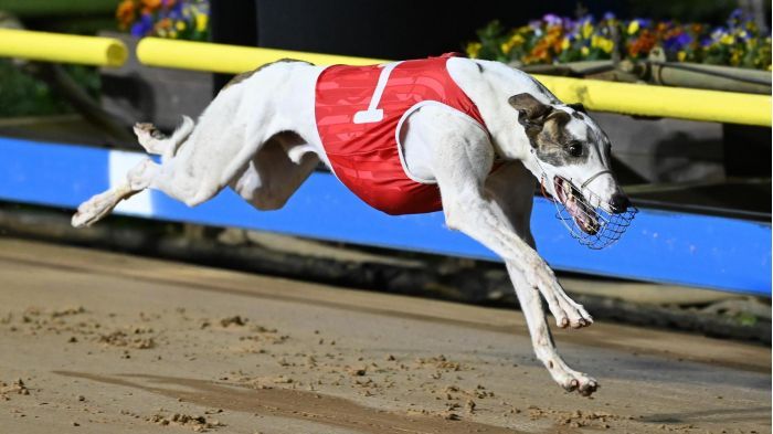 Your guide to the Australian Cup Carnival post image