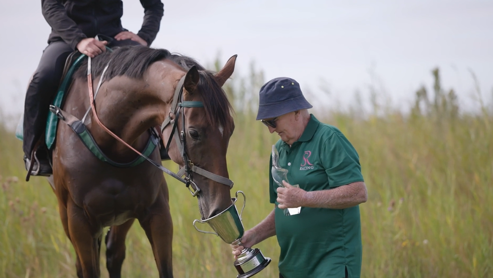 Gift horse gives battling owner Adelaide Cup dream post image