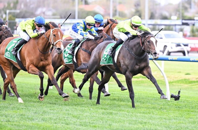 The Wash Up - Underwood Stakes Day post image
