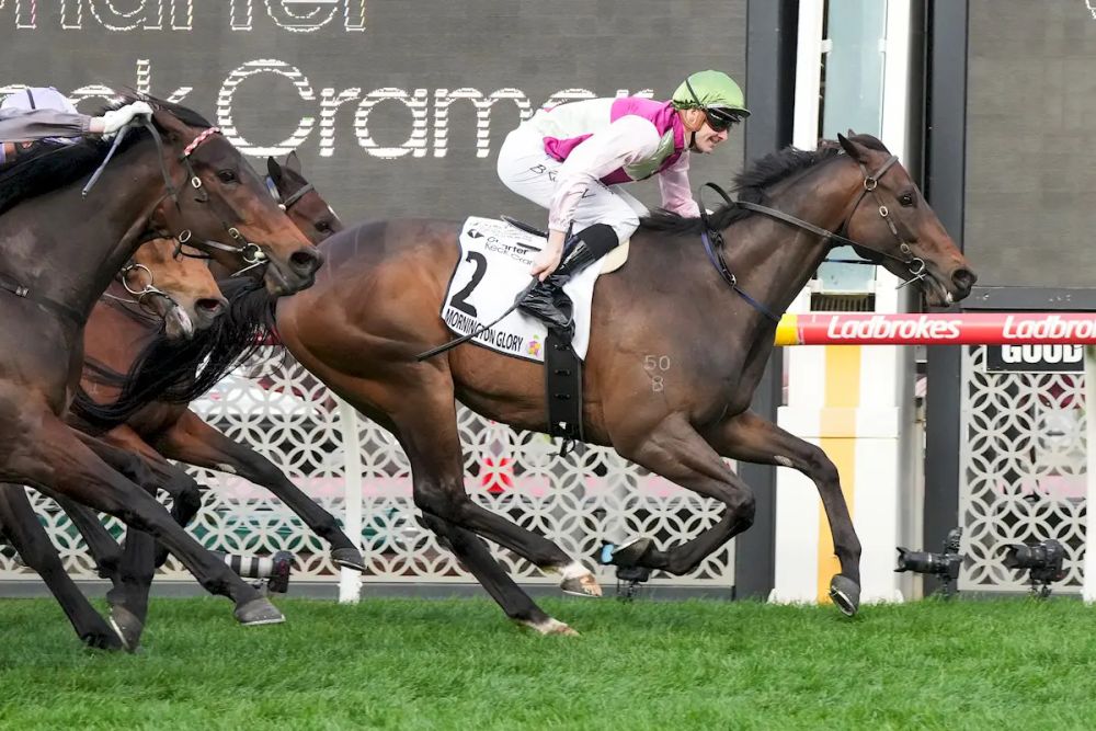 Decision to be made on Group 1 winner post image