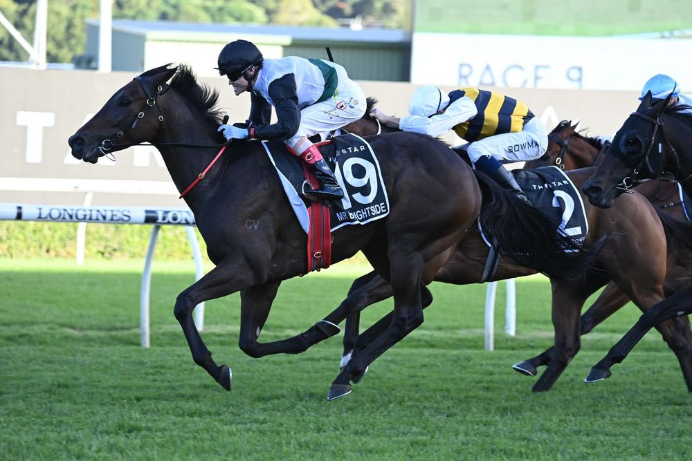 King Charles III Stakes: runner by runner preview post image