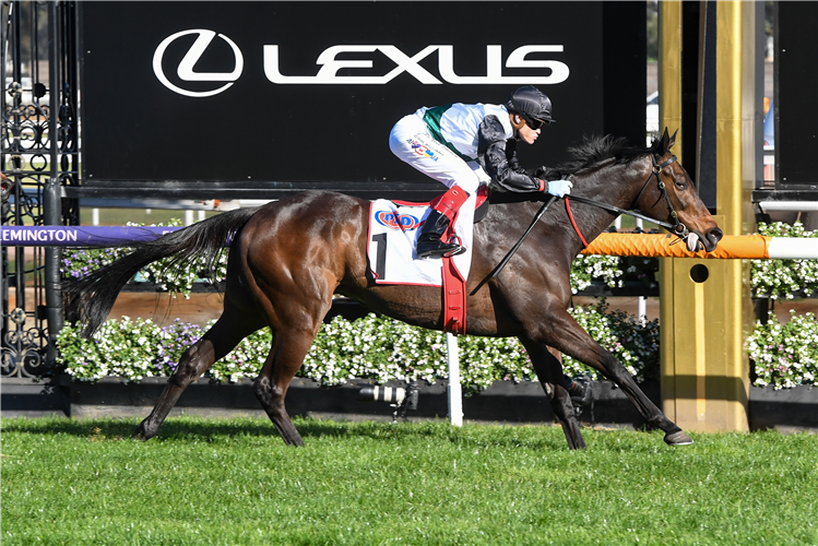 Roots: It’s racing’s best day - now make it a mile better post image