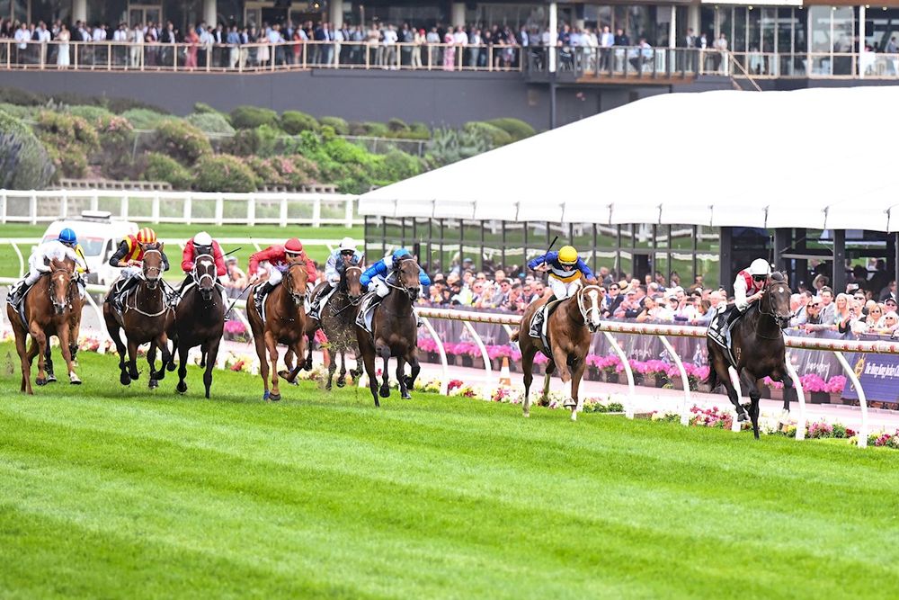 The Wash Up: Cox Plate Day post image