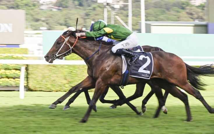 Trav Noonan: Beware the 3yo post image