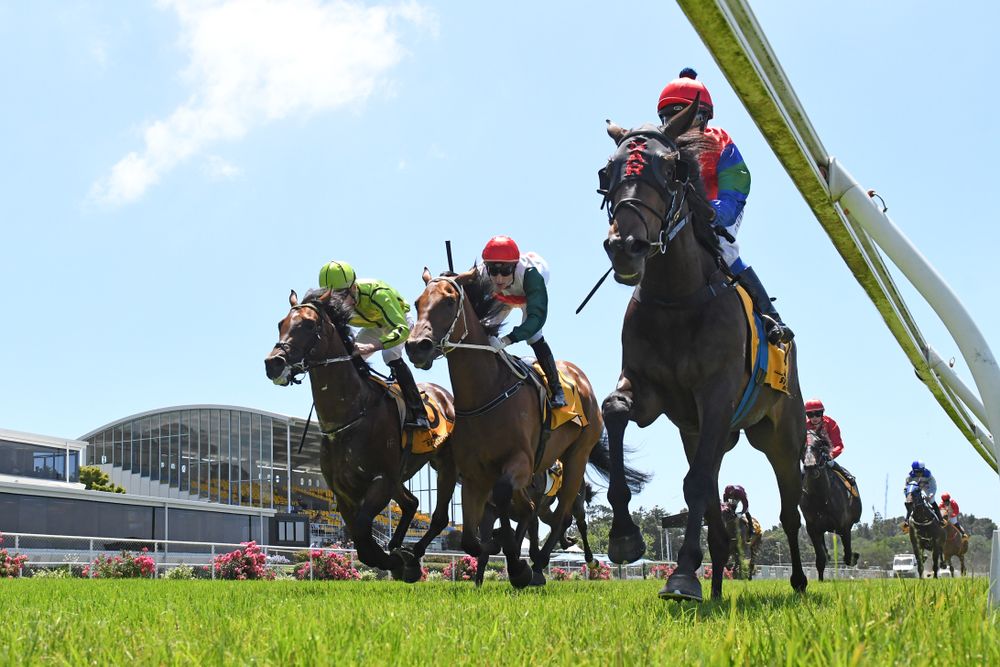 NZ Trial Watcher: New Plymouth Preview post image
