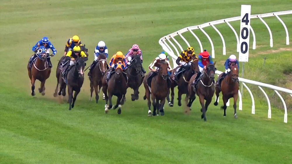 Waverley Tips: NZ Trial Watcher finds key plays across today's card post image
