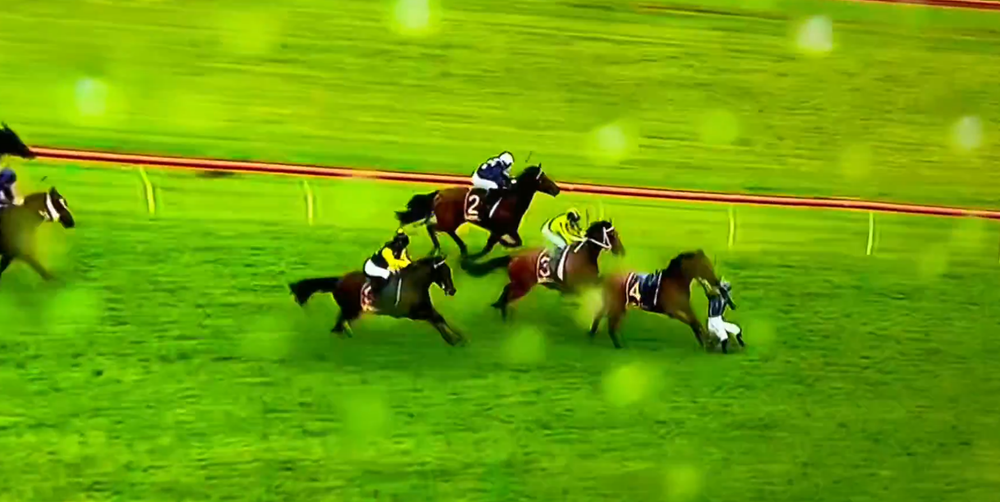 Remember this infamous fall? Now Road To Paris is an Australian Derby hope post image