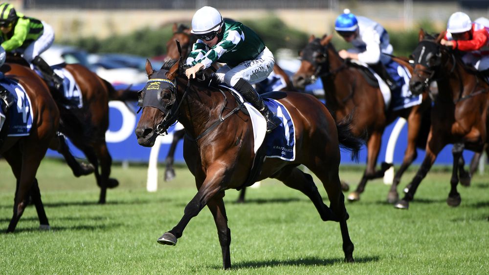 Kiwi star Ohope Wins eyes Australian debut in Vinery Stud Stakes post image