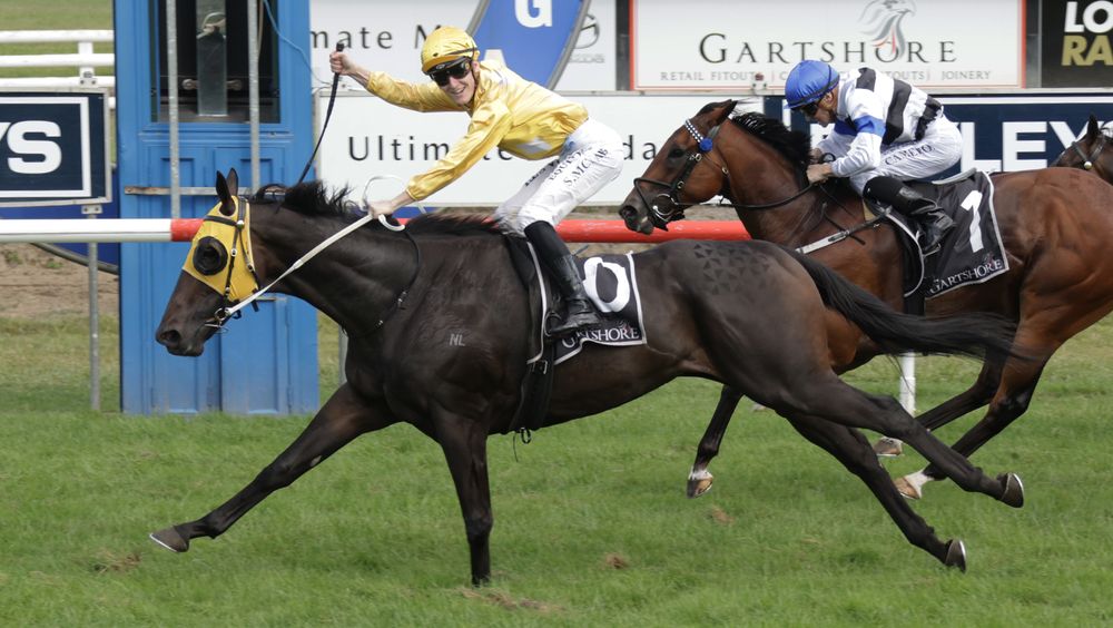 Omega Boy delivers big Tauranga triumph in Group 2 Japan Trophy post image
