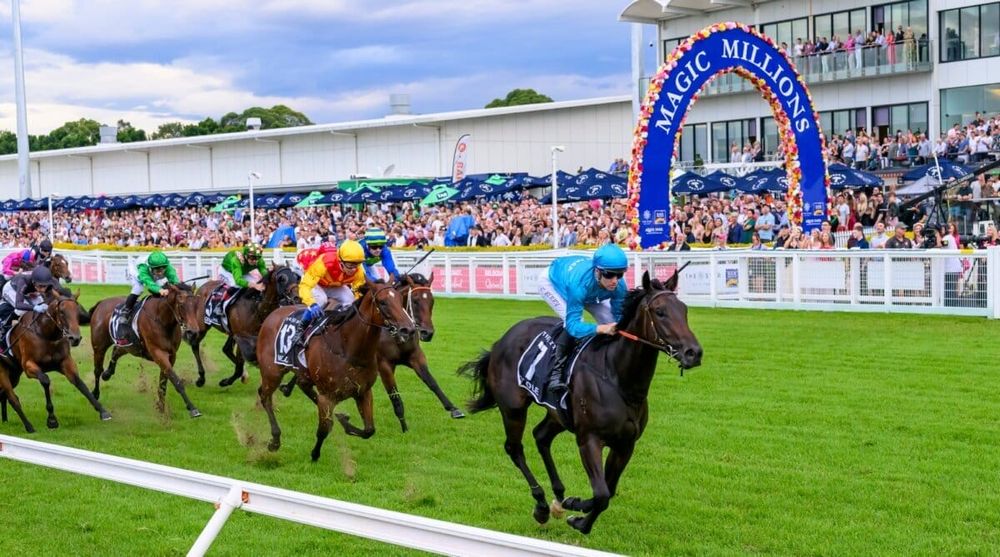 Blinkers on, history beckons: can O’Ole do the Millions double? post image
