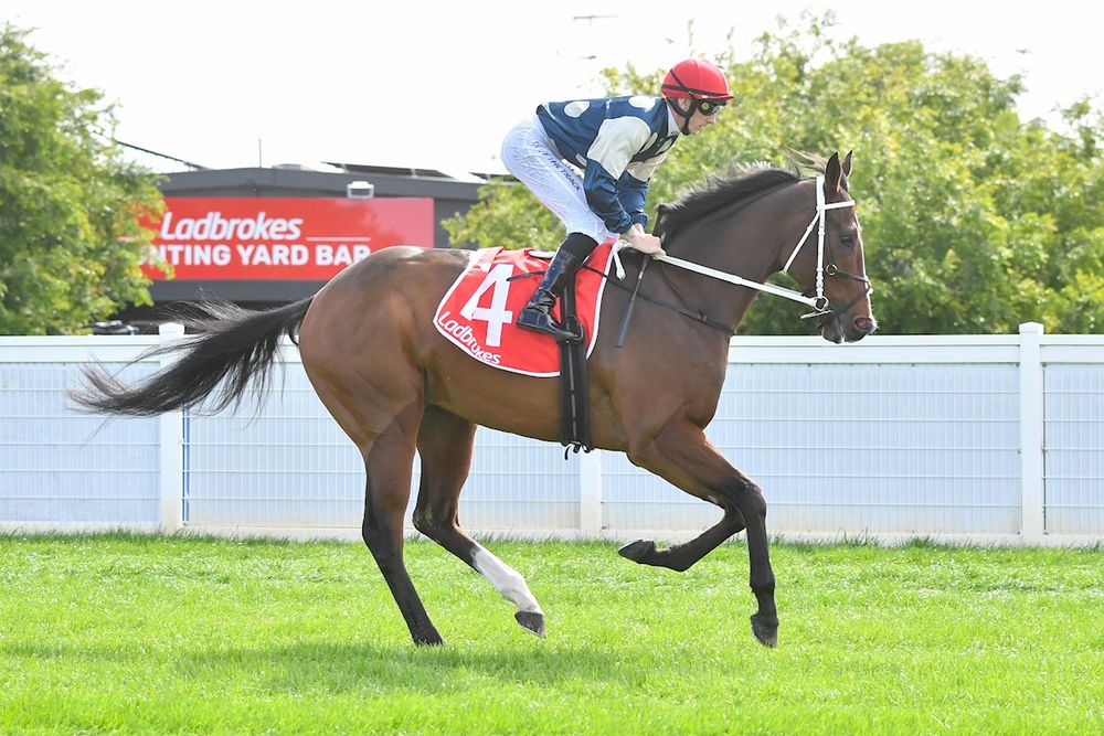 Caulfield Buy, Hold, Sell: The big winners, forgive runs and horses to risk post image