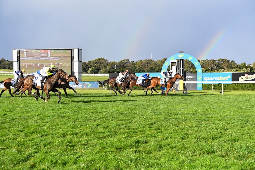 Betsy's Bolters: Cranbourne post image