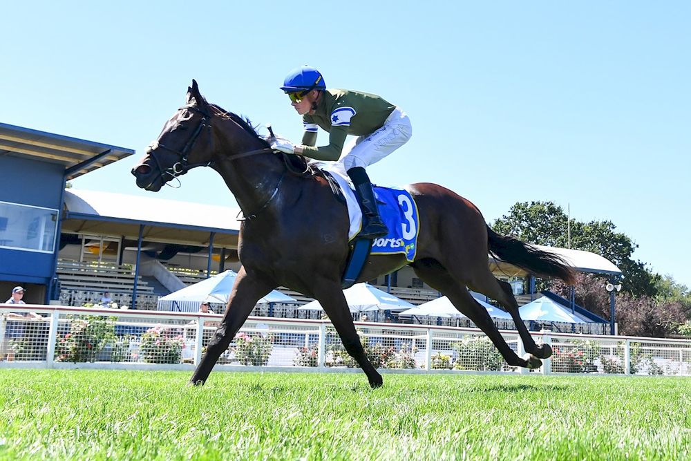 Group 1 jockey slapped with 16-meeting ban over careless ride post image