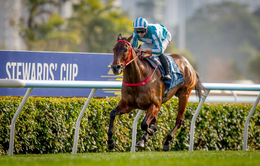Warrior unleashed: Romantic Warrior crushes field in Stewards’ Cup post image