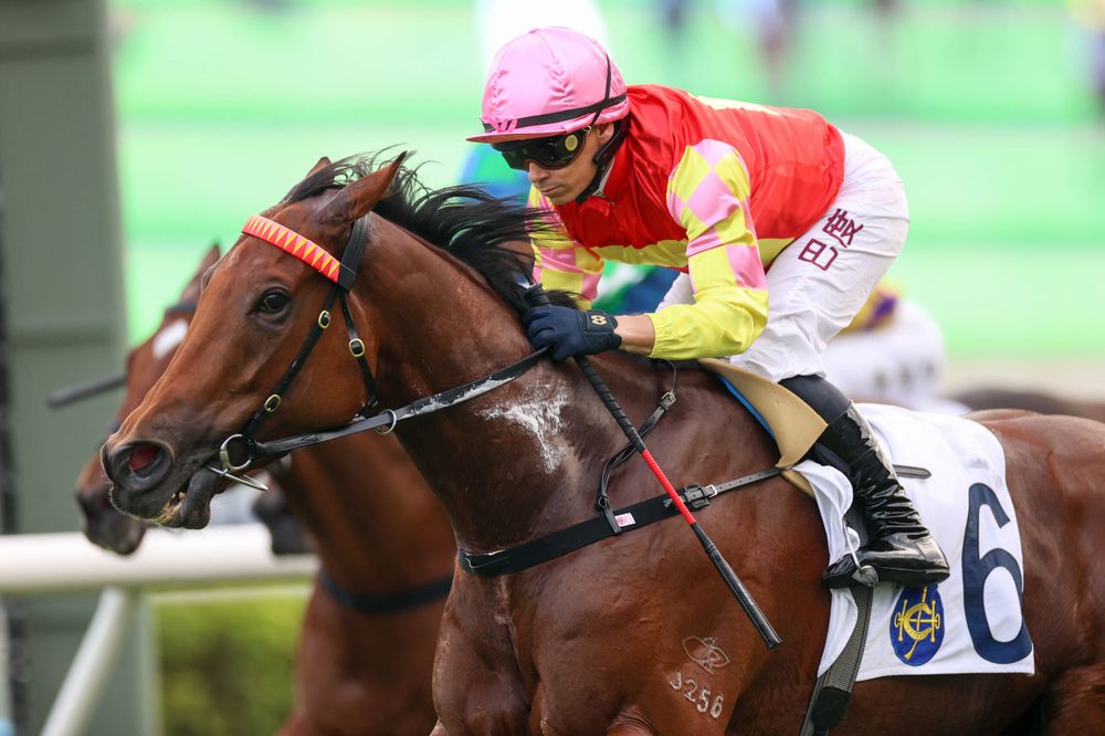 My Wish looms as Romantic Warrior chases Hong Kong Triple Crown glory post image