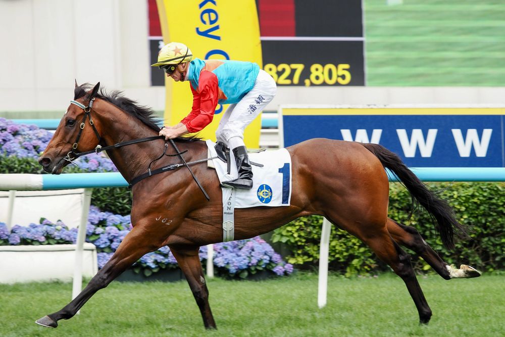 Ka Ying Rising Breaks Another Sha Tin Record: Purton & Hayes Hail “Best Acceleration Yet” in Sprint Cup post image
