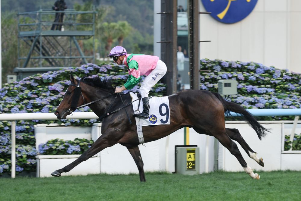 Purton closes on century as Ka Ying Rising chases 20 post image