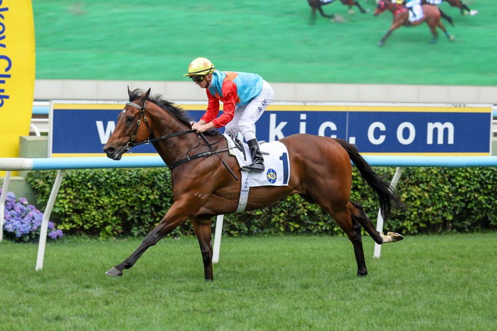 Can Ka Ying Rising catch Black Caviar? Sprint king chasing all-time great status post image