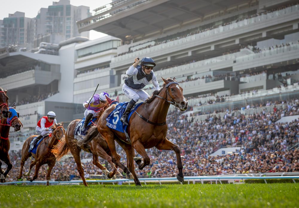 Bowman vs JMac: Newnham duo ready for Champions Mile showdown post image