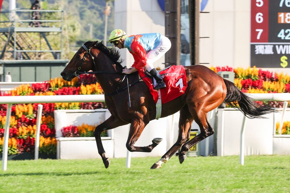 'I’m on two of the best horses in Hong Kong' - Hero or villain? Purton to tackle Hong Kong’s biggest guns post image
