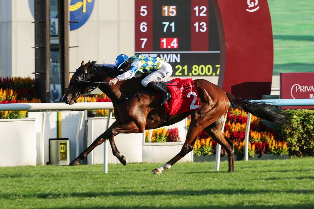 In The Lab: 2025 Hong Kong Mile post image